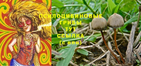 МДПВ Арсеньев