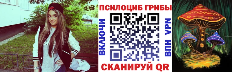 Псилоцибиновые грибы GOLDEN TEACHER darknet наркотические препараты Унеча